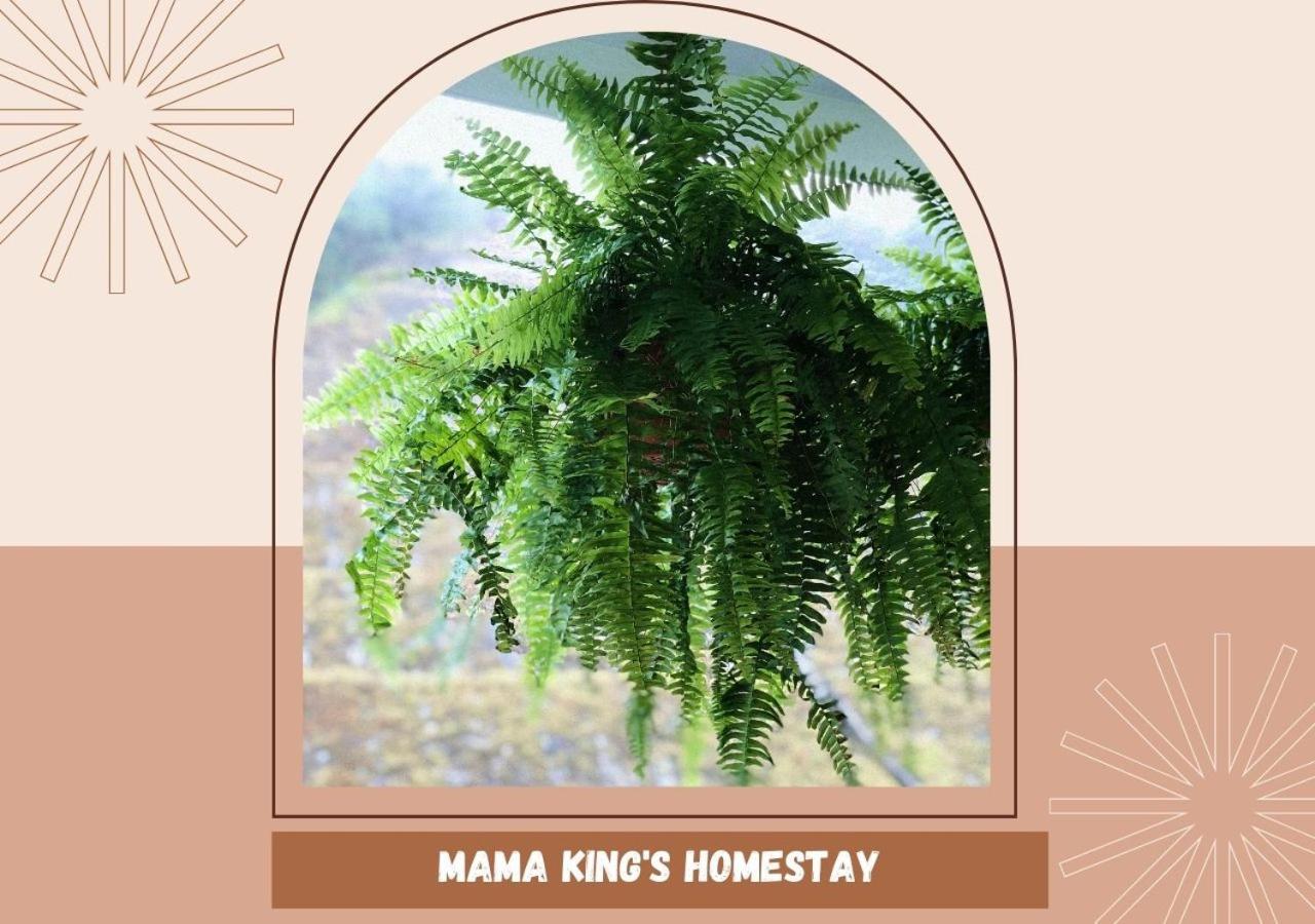 Mama King'S Homestay@ Palas Horizon 브린창 외부 사진